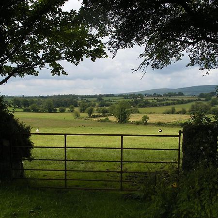 Brandon View House B&B Graiguenamanagh Exterior foto