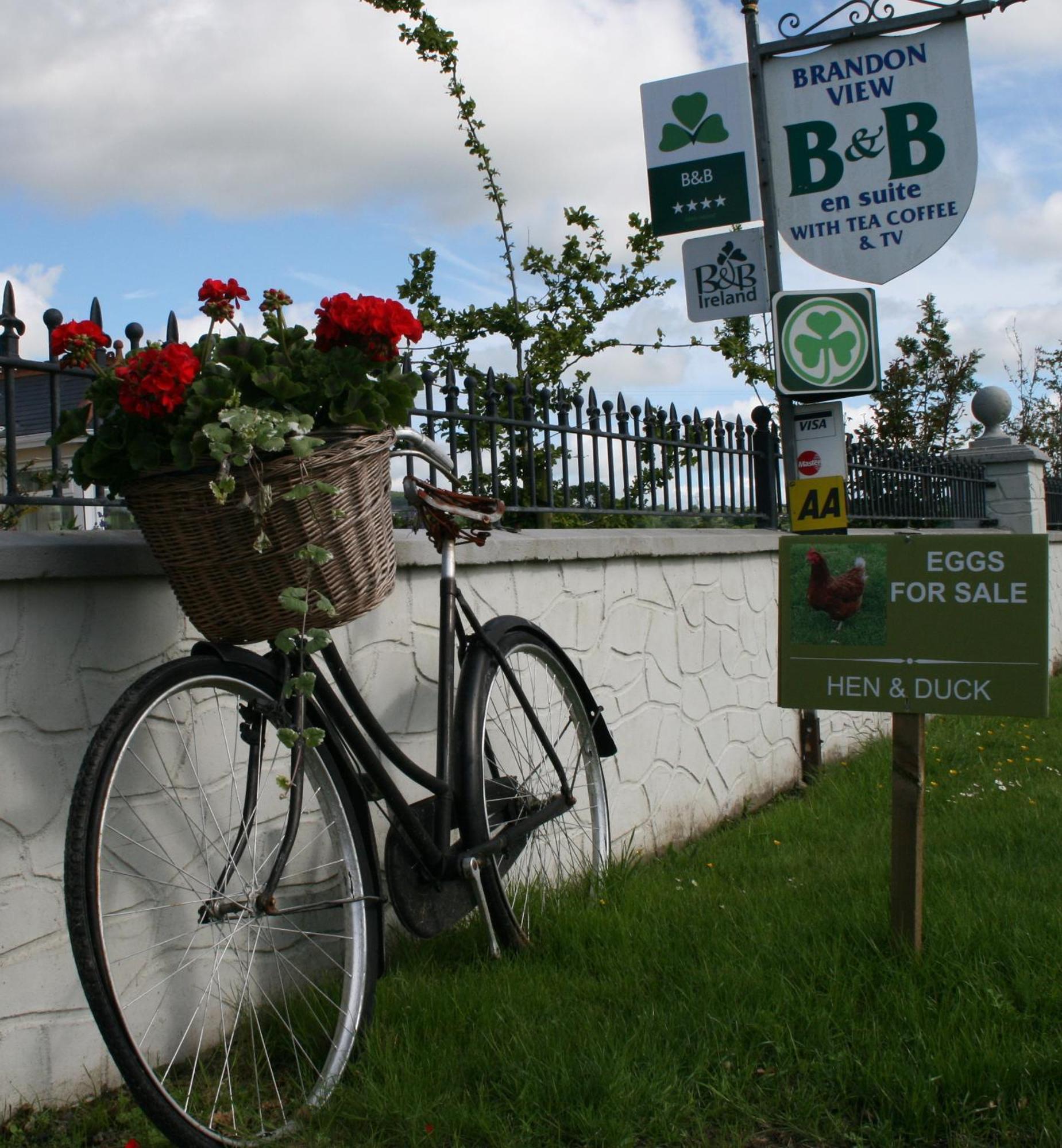 Brandon View House B&B Graiguenamanagh Exterior foto