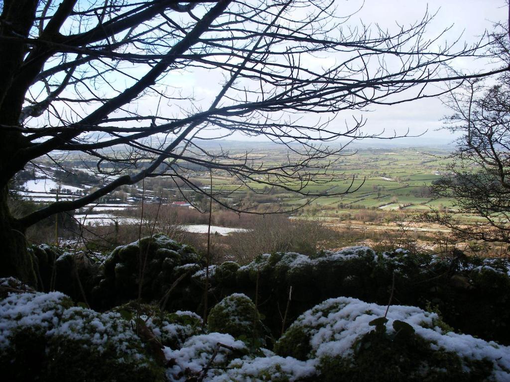 Brandon View House B&B Graiguenamanagh Exterior foto