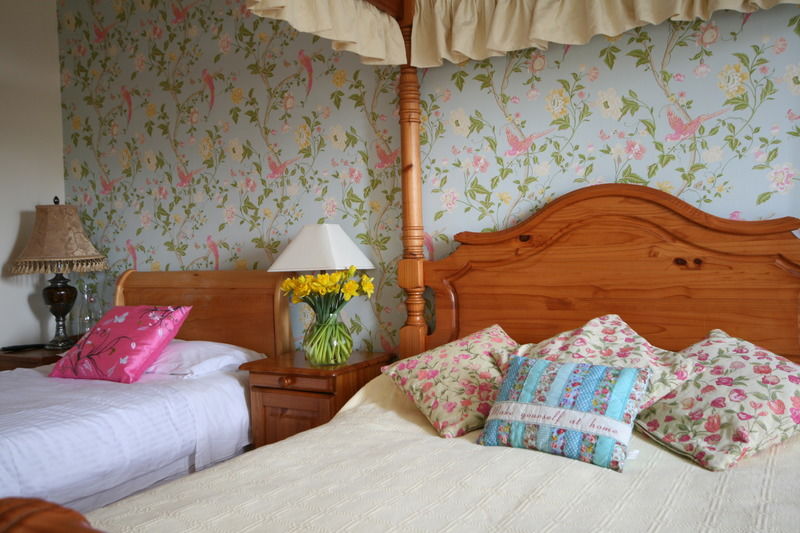 Brandon View House B&B Graiguenamanagh Exterior foto