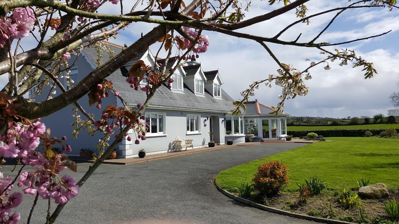 Brandon View House B&B Graiguenamanagh Exterior foto