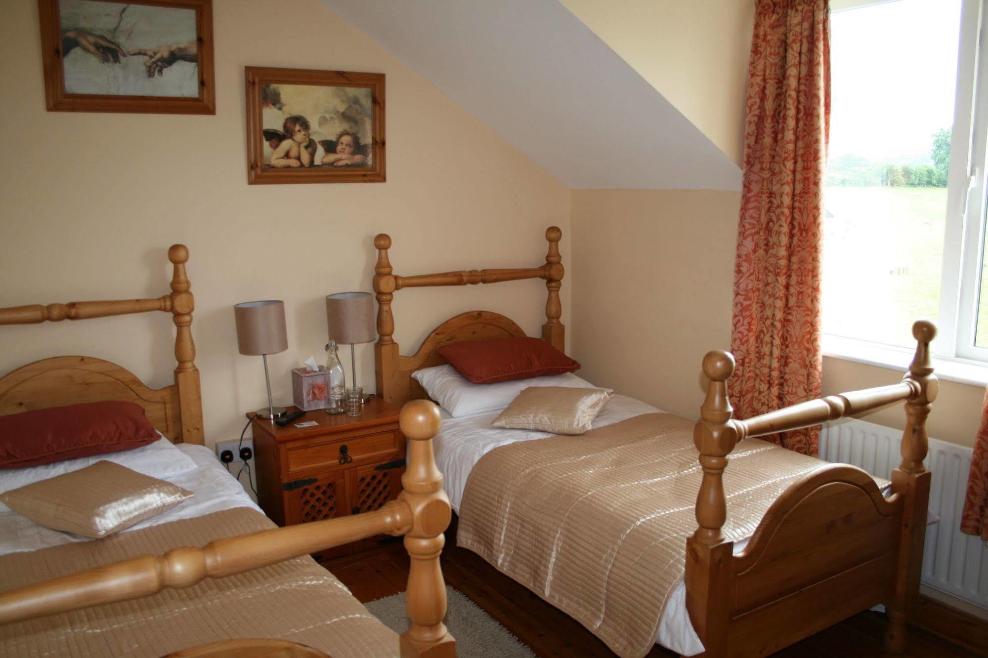 Brandon View House B&B Graiguenamanagh Exterior foto