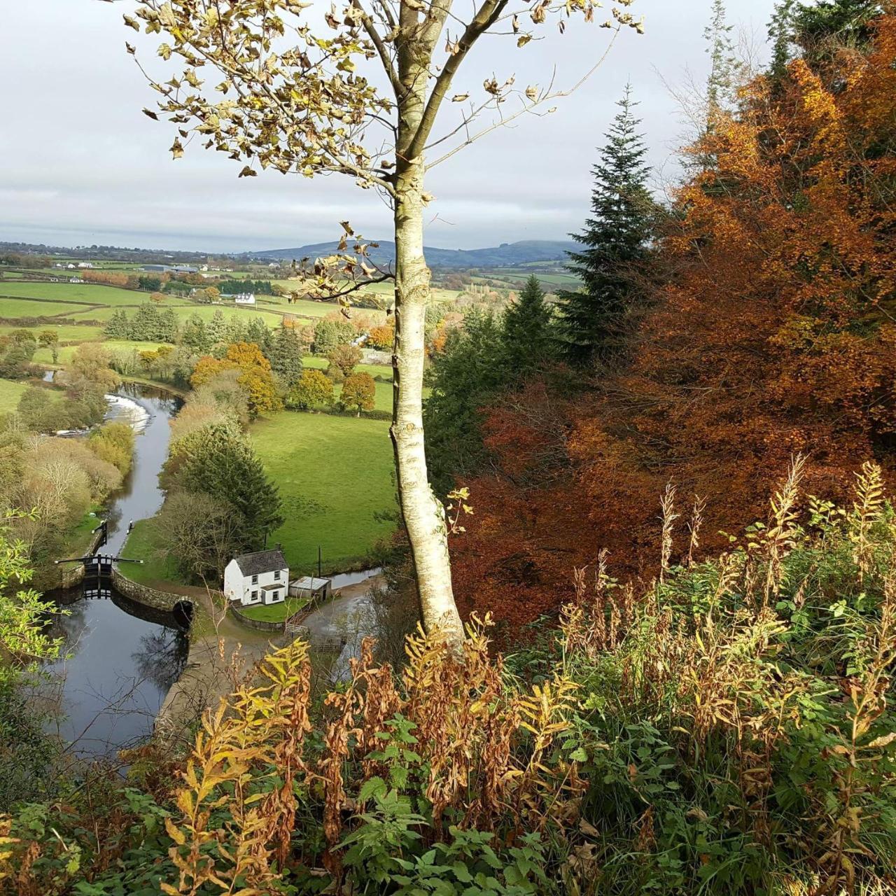 Brandon View House B&B Graiguenamanagh Exterior foto